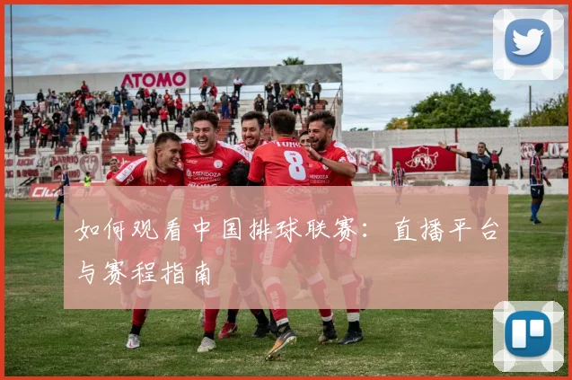 如何观看中国排球联赛:直播平台与赛程指南