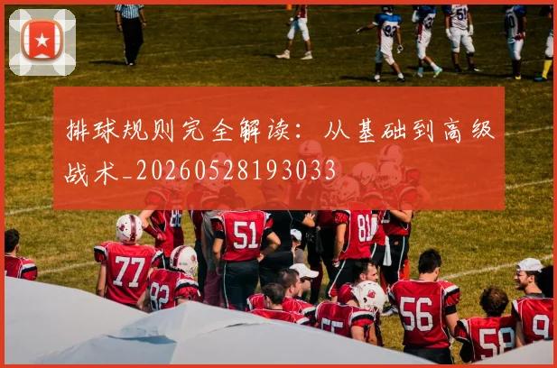排球规则完全解读：从基础到高级战术_20260528193033